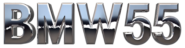 bmw55 logo